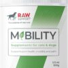 Raw Support Mobility 100g