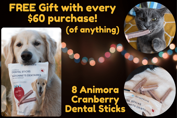 Free Gift
