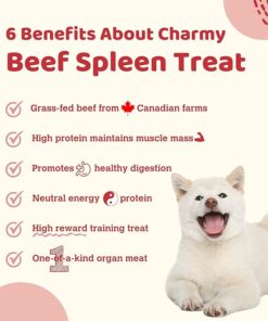 Charmy Beef Spleen Air-Dried Dog and Cat Treat 100g