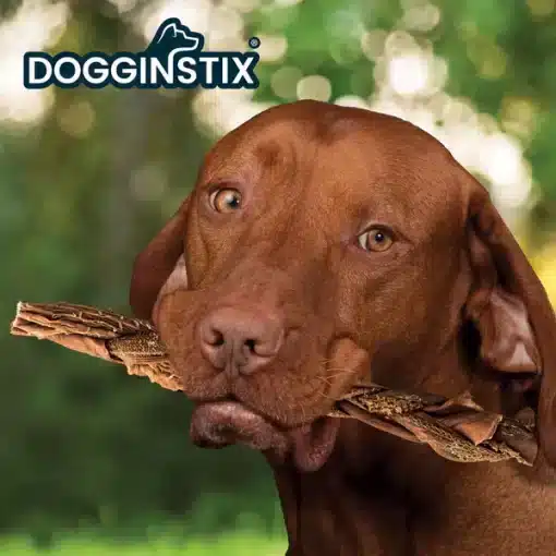 DOGGINSTIX Braided Beef Tripe Dog Chew 6"|12" - Image 3