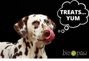 Treats YUM 290 x 200