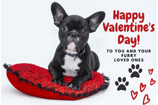 Happy Valentine's Day