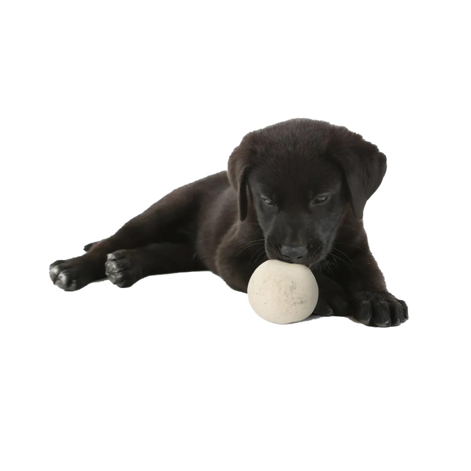 Moss Creek Wool balls for dogs