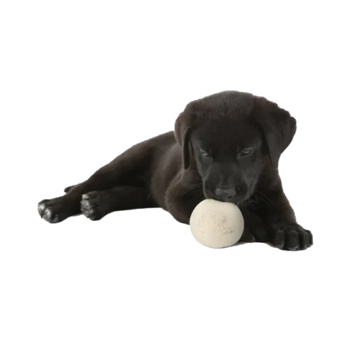 Moss Creek Wool balls for dogs