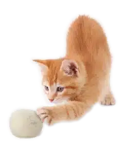 Moss Creek Wool Works Wool Balls for Cats