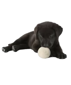 Moss Creek Wool Works Wool Balls for Dogs