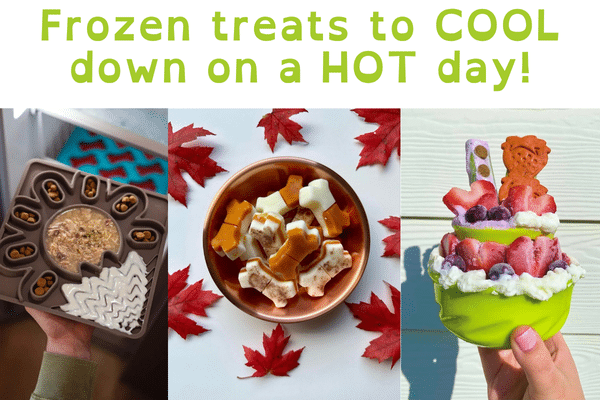 Frozen treat makers and lick mats