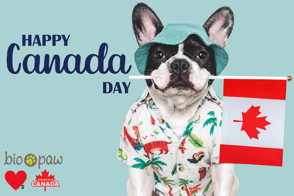 Happy Canada Day! ID 384627082 | Canada Day ©  Sviatlana Barchan | Dreamstime.com