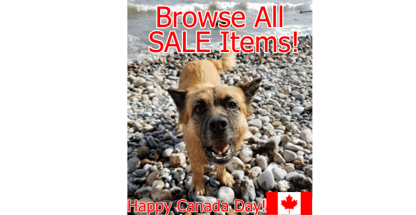 canada-day-chaya