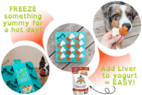 frozen-treats-messy-mutts