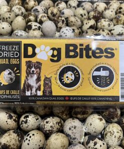 Dog Bites Pet Treats whole quail eggs freeze dried for dogs and cats
