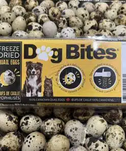 Dog Bites Pet Treats whole quail eggs freeze dried for dogs and cats