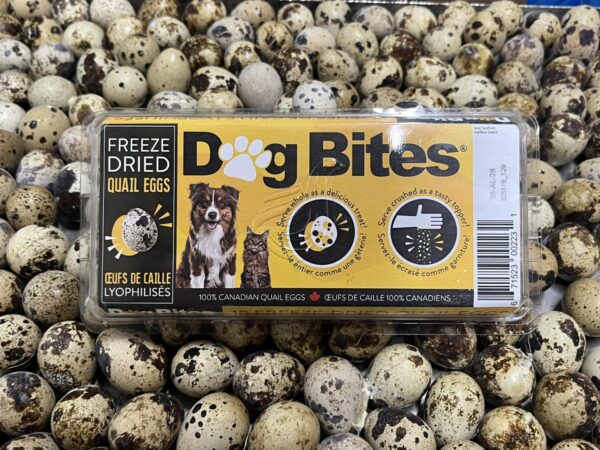 Quail Eggs