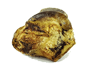 Beef Crown-Knuckle Bone