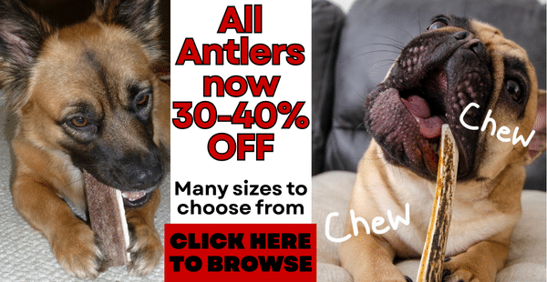 Antlers on sale!
