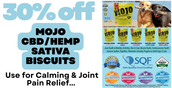 Mojo CBD Supplements