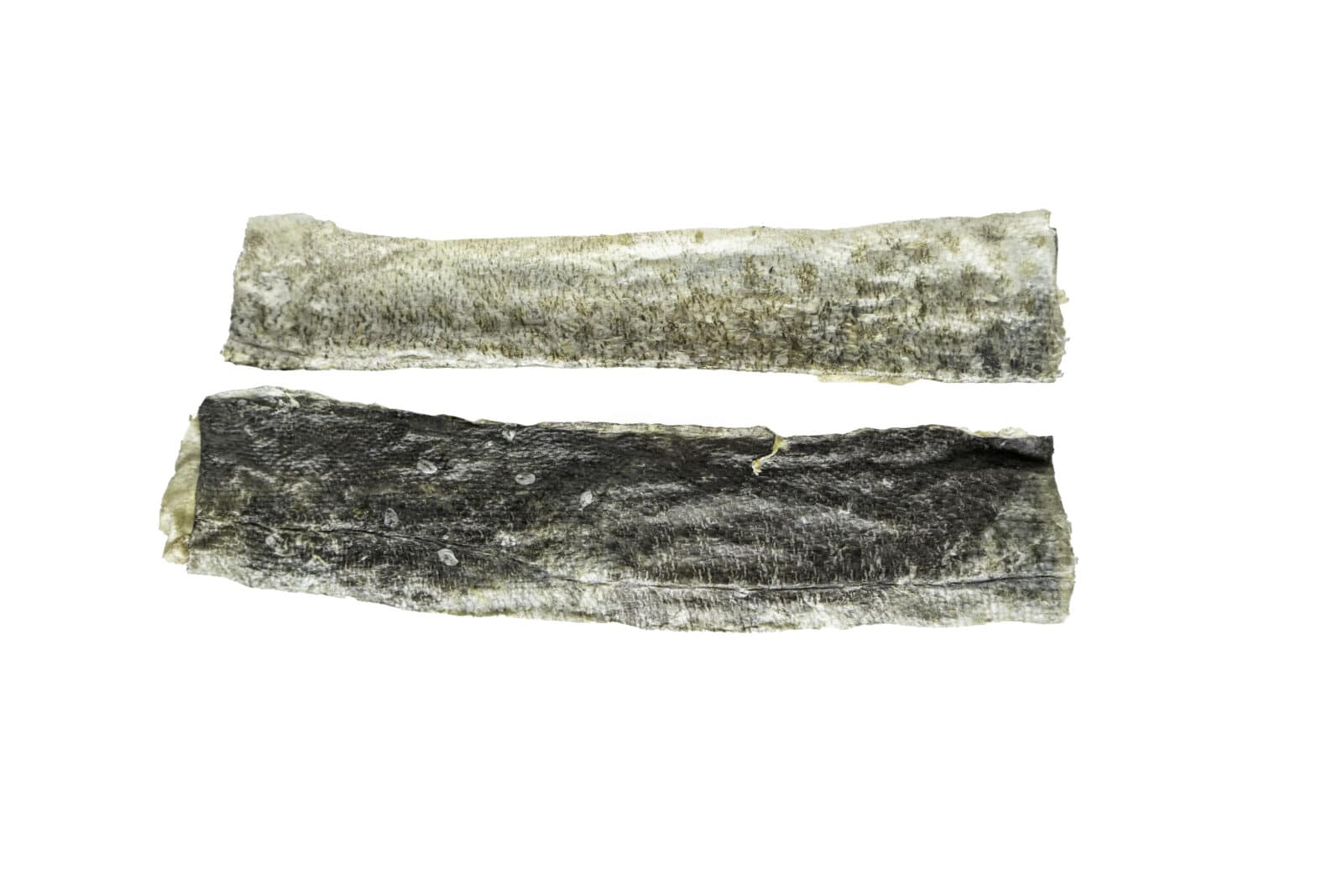 Biopaw