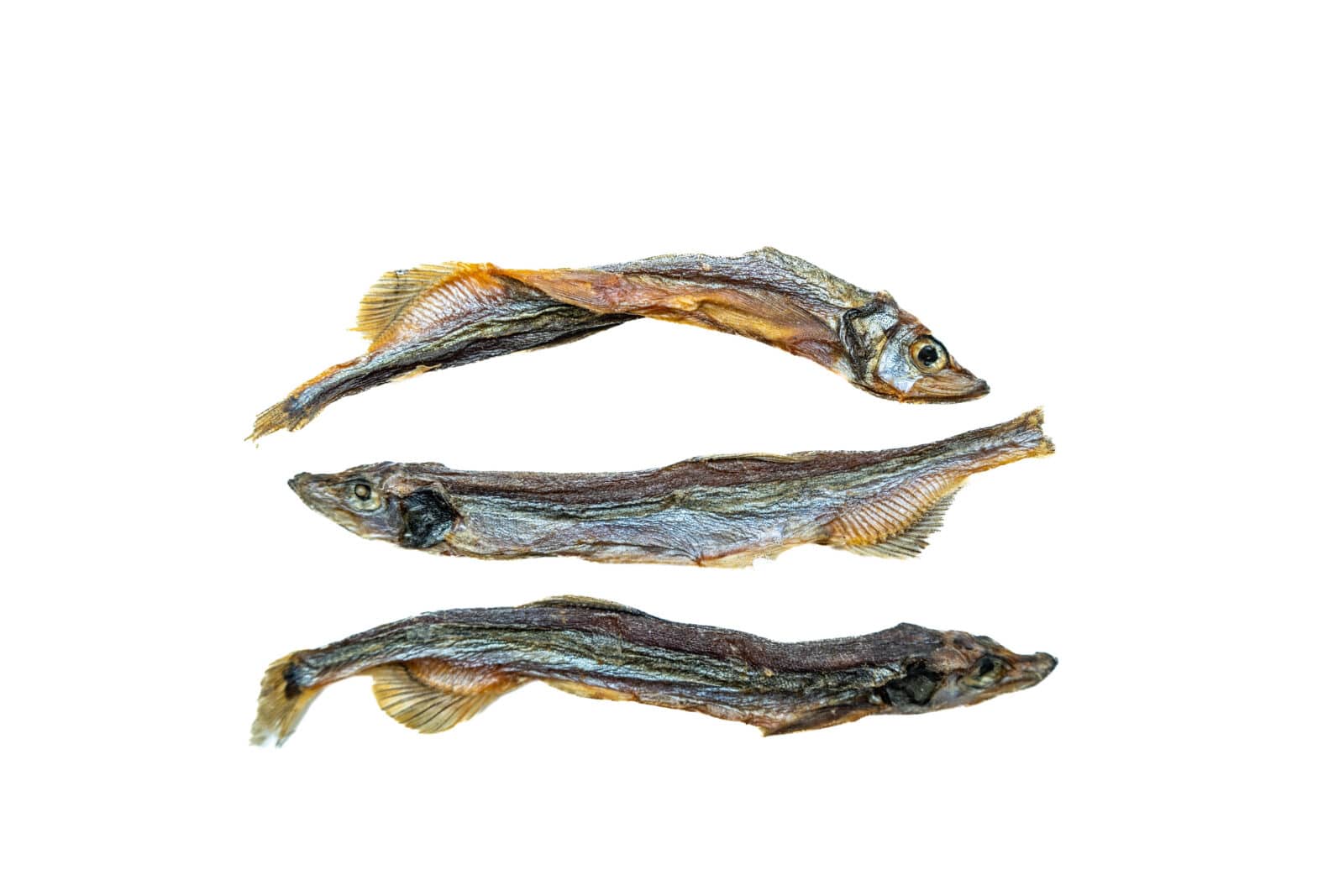 Biopaw