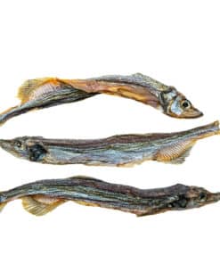 Sydney's Harbour Capelin, Canadian whole fish treat for dogs
