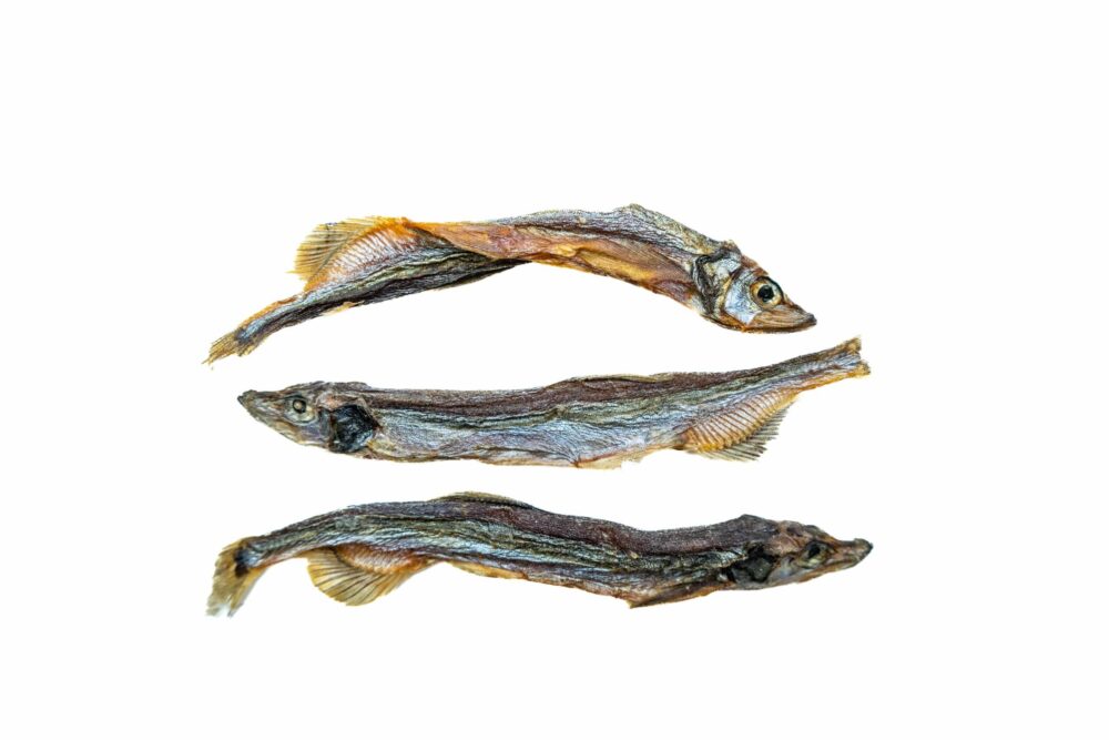 Sydney's Harbour Capelin, Canadian whole fish treat for dogs