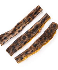 Sydney's Harbour Wolffish skin dog chews