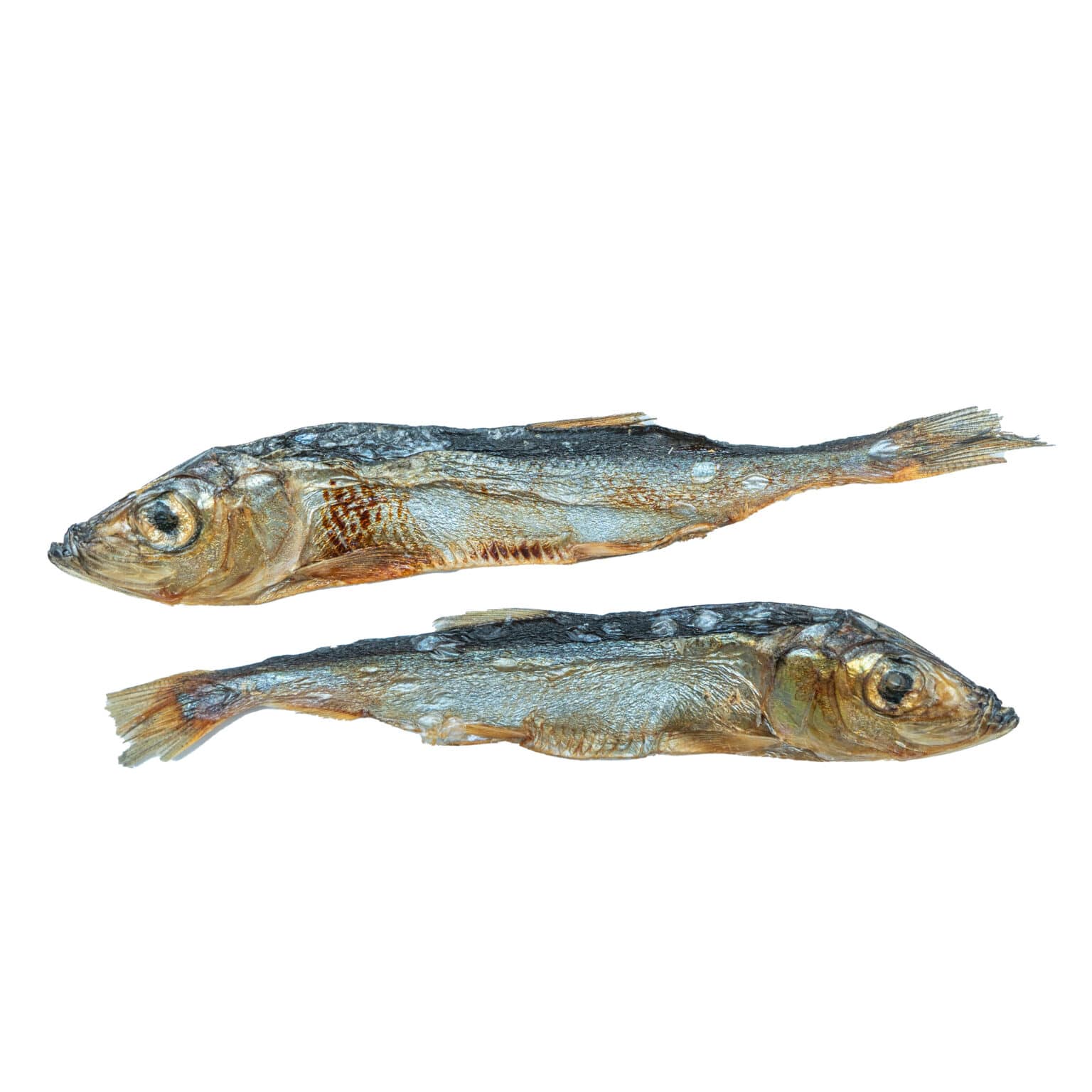 Baltic Herring whole fish treat for dogs made in Canada