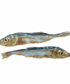 Baltic Herring whole fish treat for dogs made in Canada