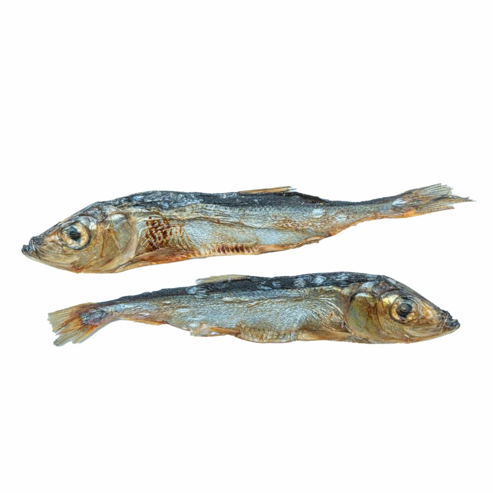 Baltic Herring whole fish treat for dogs made in Canada