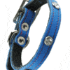 Perri's Small Dog collar with rhinestones.